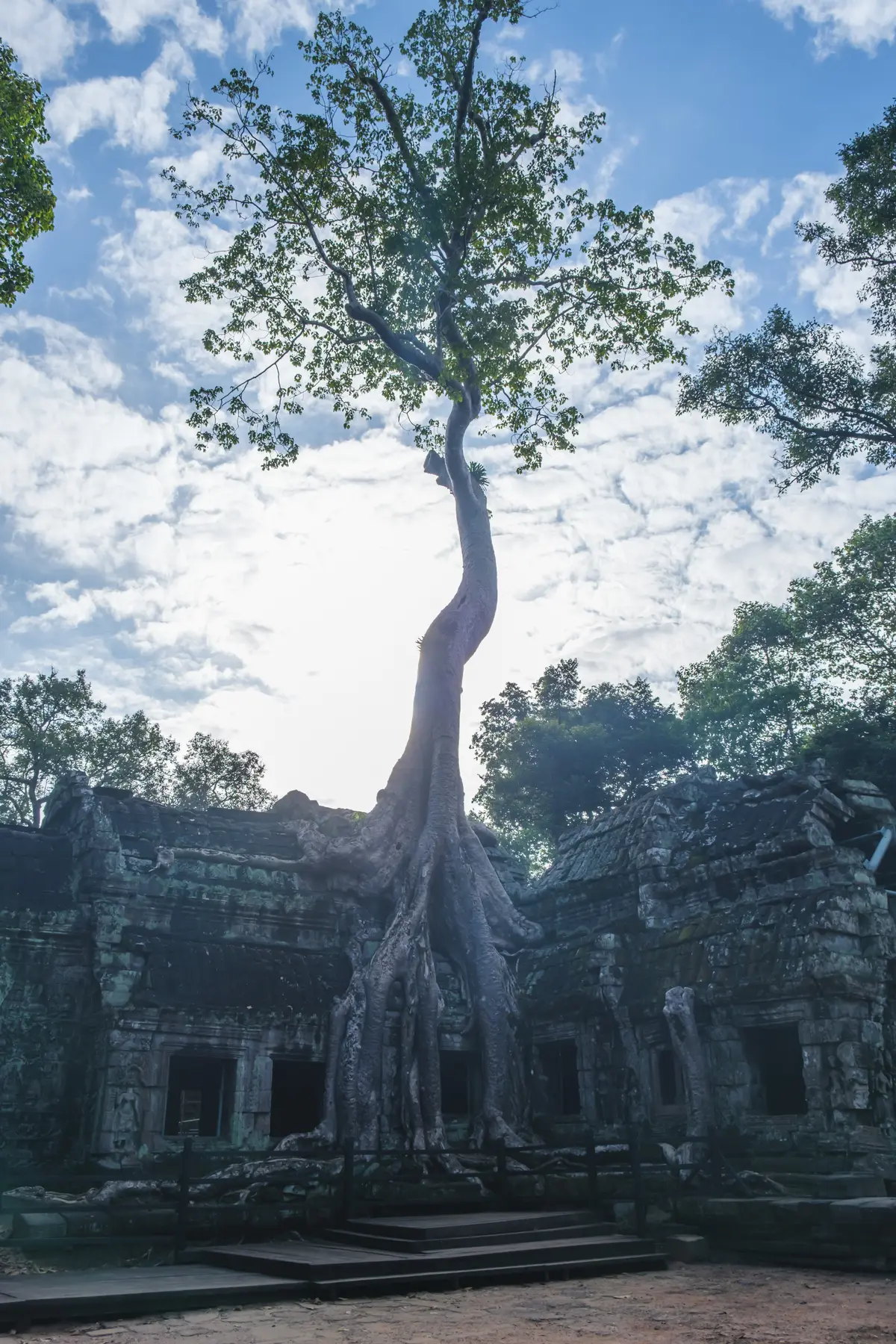 Angkor Wat in Cambodia, photograph 6