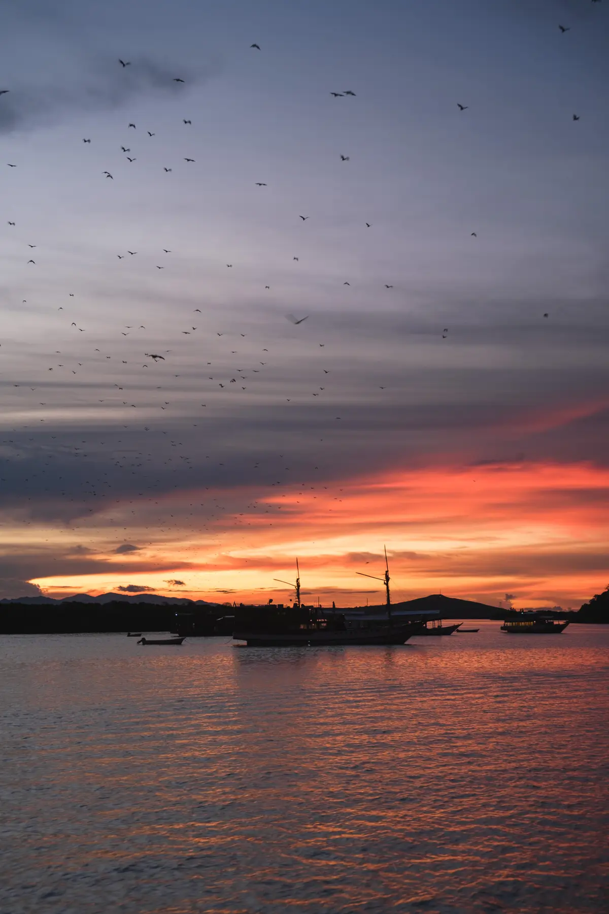 Komodo Expedition in Indonesia, photograph 6