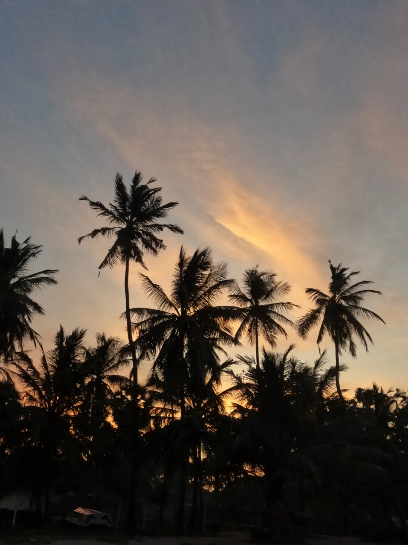 Viewpoints in Sri Lanka, photograph 1