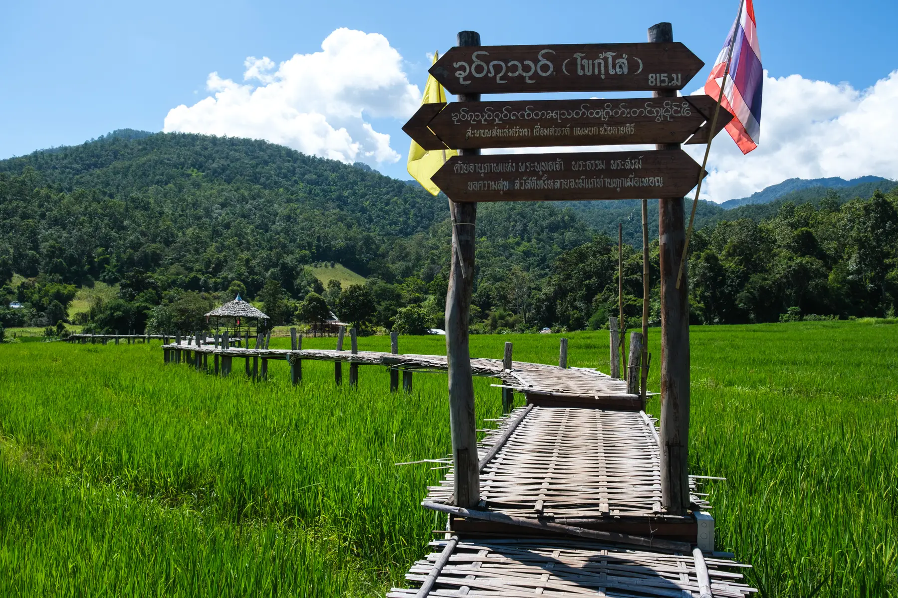 Water & Nature in Thailand, photograph 8